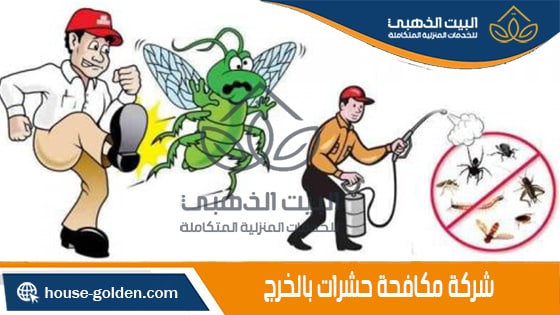 شركة مكافحة حشرات بالمدينة المنورة