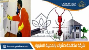 شركة مكافحة حشرات بالمدينة المنورة,مكافحة حشرات بالمدينة المنورة