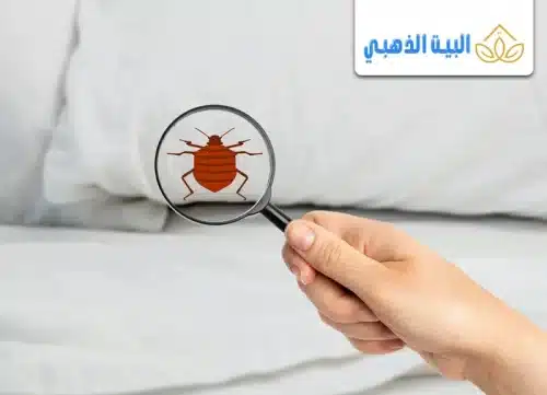 كيفية التخلص من البراغيث من الجسم