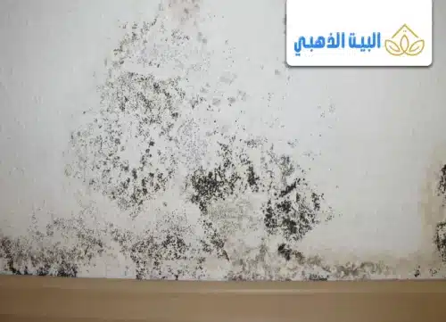 كيفية التخلص من الرطوبة على الجدران